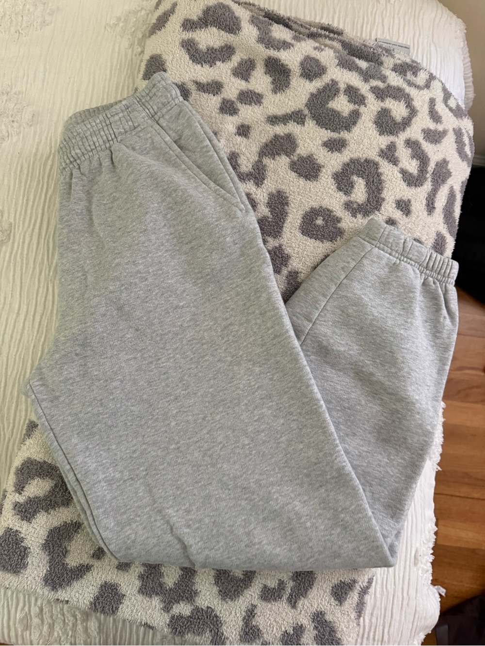 Aritzia Grey Sweatpants